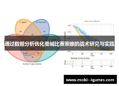 通过数据分析优化曼城比赛策略的战术研究与实践 通过数据分析优化曼城比赛策略的战术研究与实践