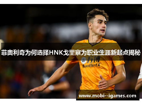 菲奥利奇为何选择HNK戈里察为职业生涯新起点揭秘 菲奥利奇为何选择HNK戈里察为职业生涯新起点揭秘