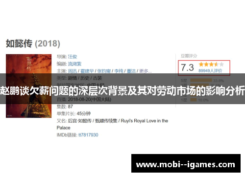 赵鹏谈欠薪问题的深层次背景及其对劳动市场的影响分析 赵鹏谈欠薪问题的深层次背景及其对劳动市场的影响分析